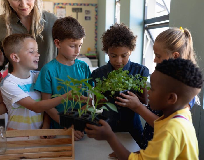 Students in a classroom holding plants