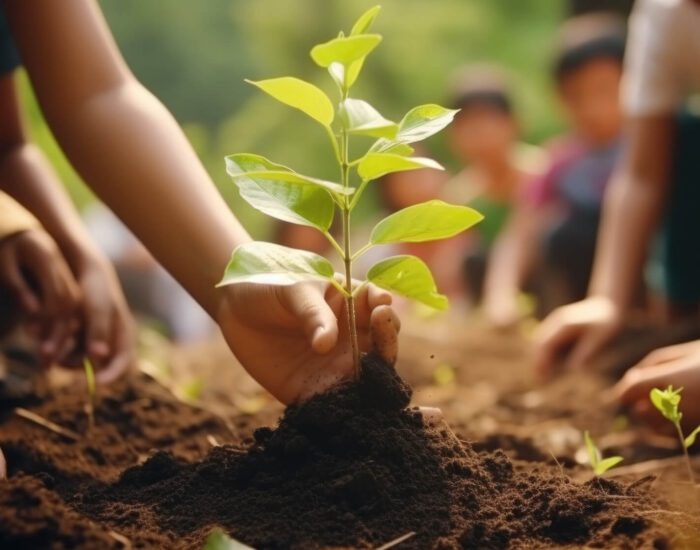 Child planting