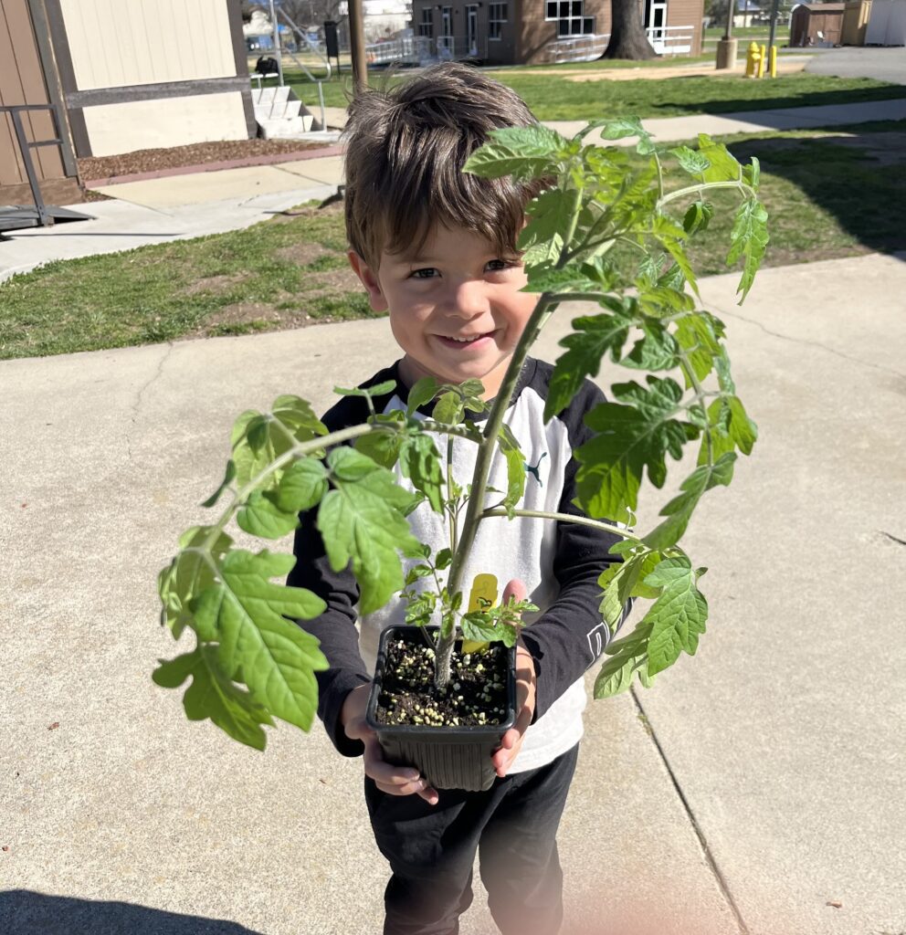 an boy holding some plants